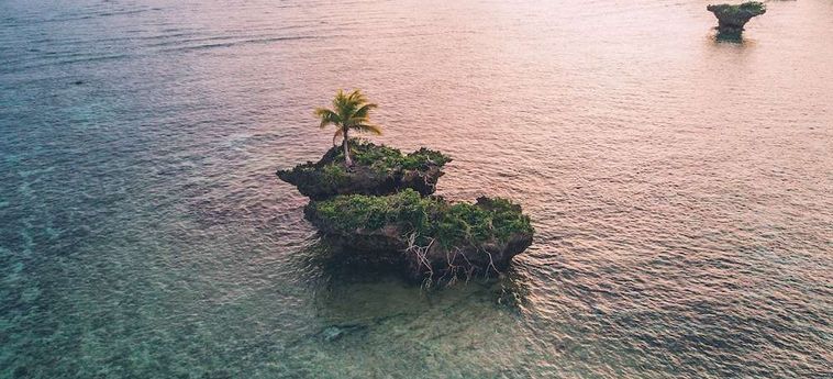 Hotel Koro Sun Resort &Amp; Rainforest Spa Fiji Island: Foto 