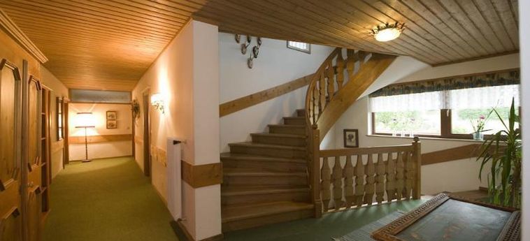 Pension Wieser Filzmoos: Foto 