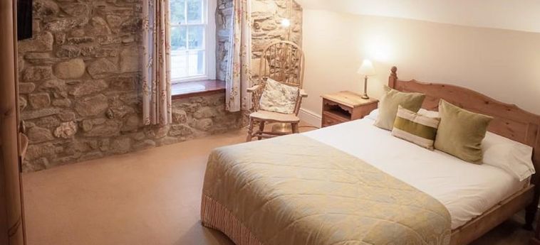 Gellifawr Woodland Retreat Fishguard: Foto 