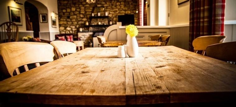 Gellifawr Woodland Retreat Fishguard: Foto 