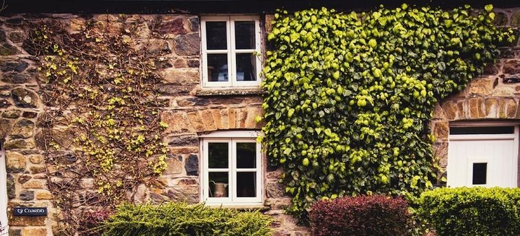 Gellifawr Woodland Retreat Fishguard: Photo 