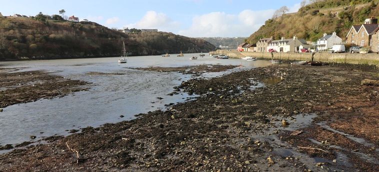 Hotel The Old Stables Fishguard: Photo 