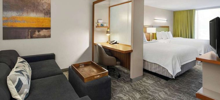 Hotel Springhill Suites Flagstaff:  FLAGSTAFF (AZ)