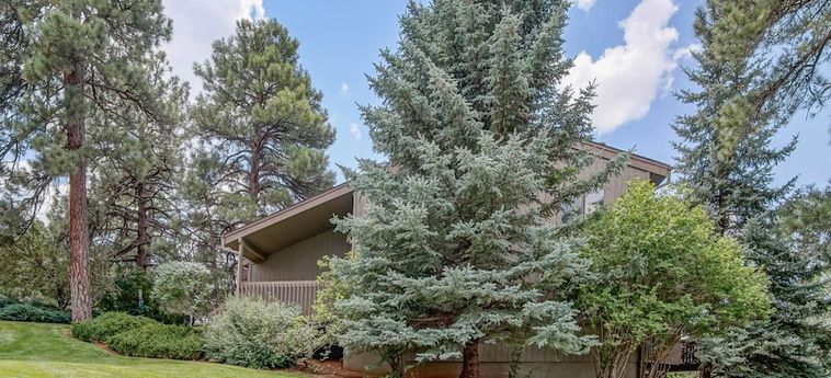 Hotel Trendy Country Club Condo Flagstaff (Az) : Photo 