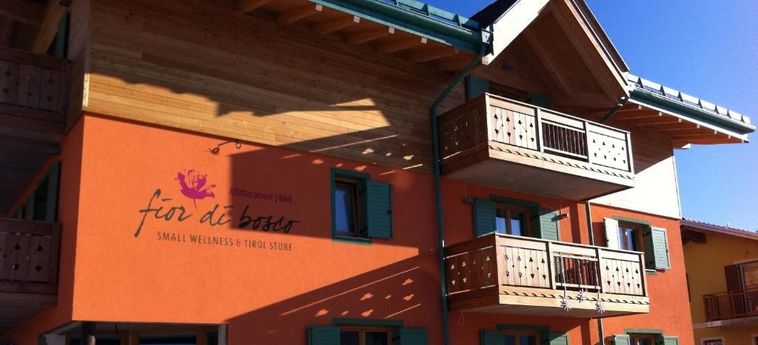 Hotel Relais Fior Di Bosco:  FOLGARIA - TRENTO