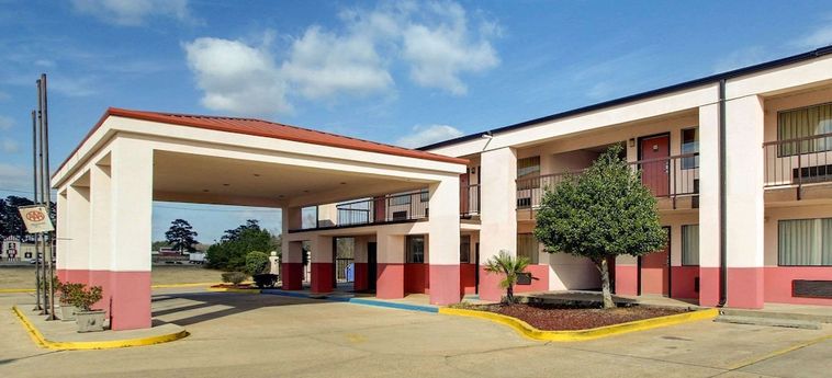 Hotel ECONO LODGE INN & SUITES, FOREST