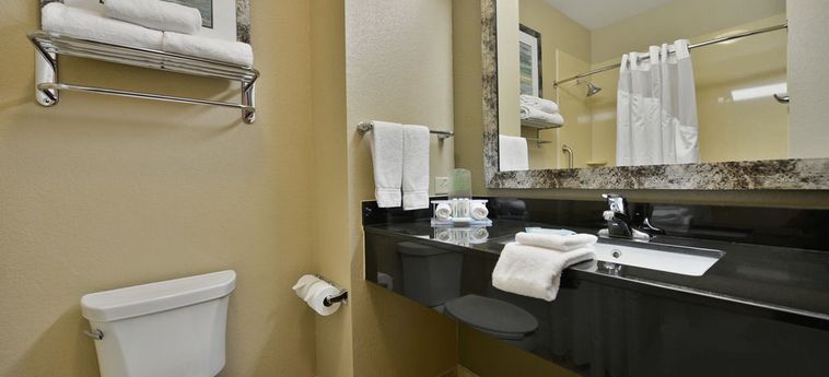 Hotel Holiday Inn Express & Suites Forrest City:  FORREST CITY (AR)