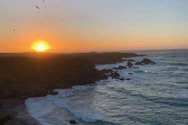 Hotel Seabird Lodge A Signature Inn Fort Bragg (Ca): Photo 