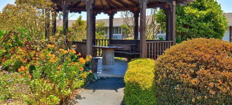 Hotel Surf Motel And Gardens Fort Bragg (Ca): Foto 