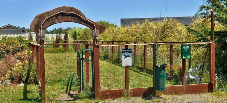 Hotel Surf Motel And Gardens Fort Bragg (Ca) : Photo 