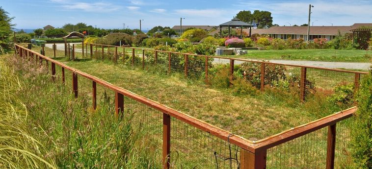 Hotel Surf Motel And Gardens Fort Bragg (Ca): Photo 