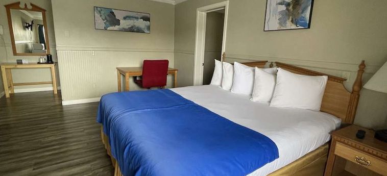 Hotel Omeo Suite Glass Beach Fort Bragg (Ca) : Photo 