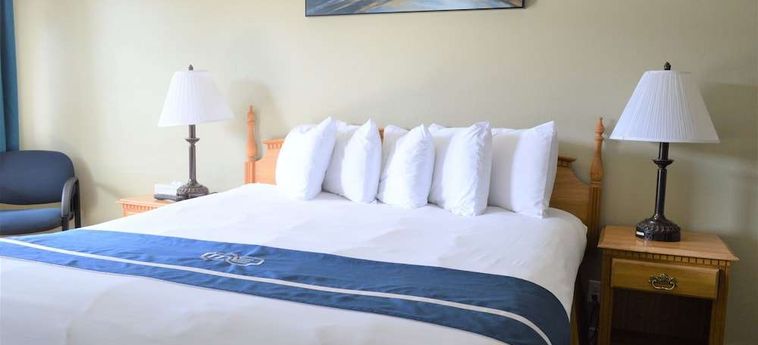Hotel Omeo Suite Glass Beach Fort Bragg (Ca): Foto 