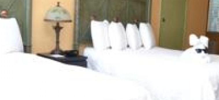 Hotel Tropi Rock Resort:  FORT LAUDERDALE (FL)