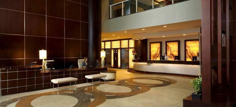 Hotel Hilton Fort Lauderdale Beach Resort:  FORT LAUDERDALE (FL)