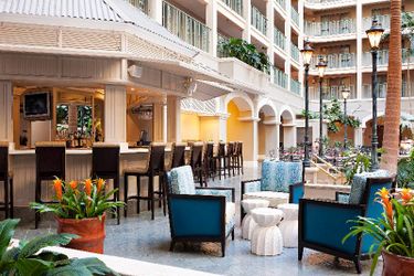 Hotel Sheraton Suites Cypress Creek Ft. Lauderdale:  FORT LAUDERDALE (FL)