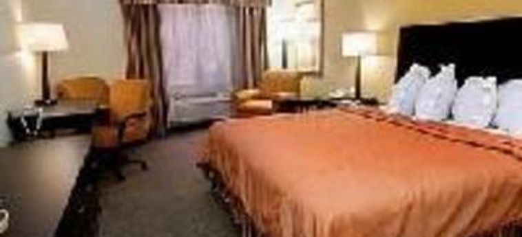 Hotel Holiday Inn Fort Myers - Downtown Area:  FORT MYERS (FL)