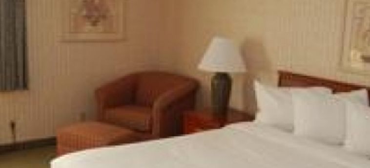 Hotel Spark By Hilton Fort Wayne Fort Wayne (In): Foto 