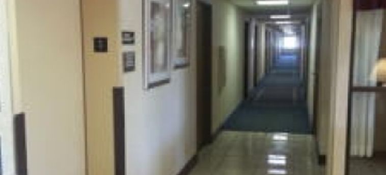Hotel Spark By Hilton Fort Wayne Fort Wayne (In) : Photo 