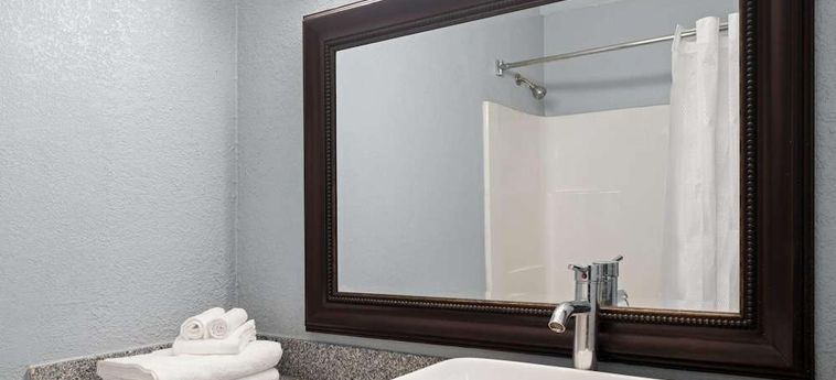Hotel Super 8 By Wyndham Fort Wayne Fort Wayne (In): Photo 