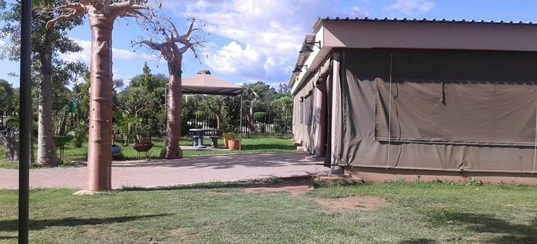 Hotel Adansonia  Francistown : Photo 