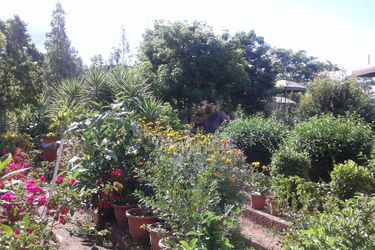 Hotel Adansonia  Francistown: Photo 