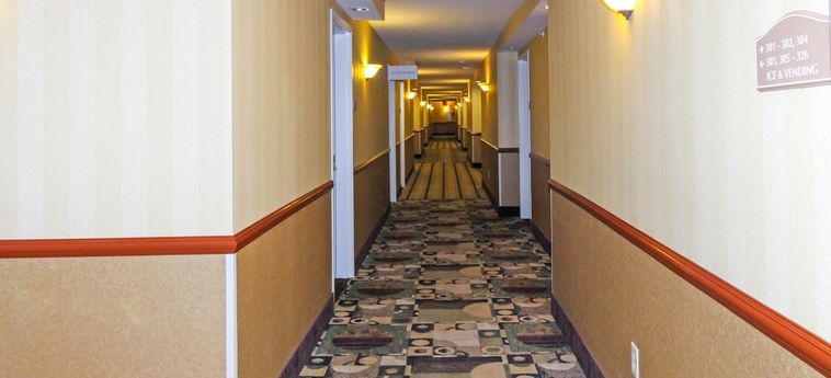 Hotel Comfort Inn & Suites:  FRANKLIN (KY)