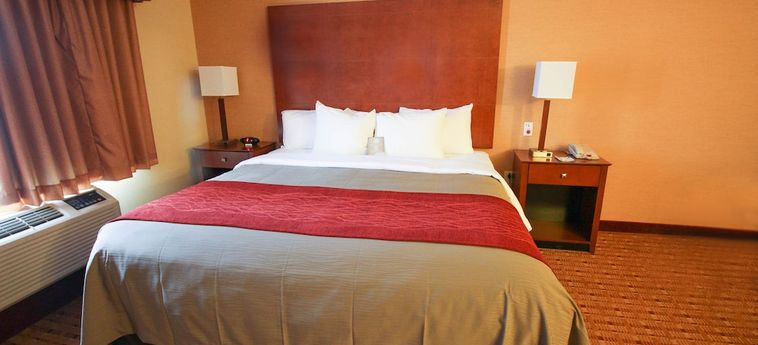 Hotel Comfort Inn & Suites:  FRANKLIN (KY)