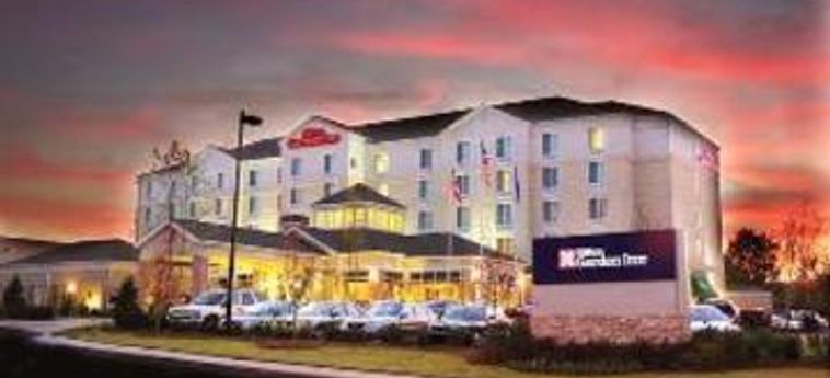 Hotel Hilton Garden Inn Nashville/franklin Cool Spri:  FRANKLIN (TN)