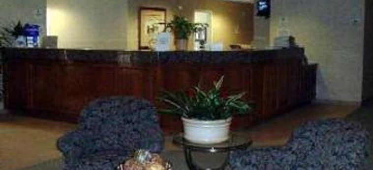 Hotel Homewood Suites By Hilton Newark-Fremont:  FREMONT (CA)