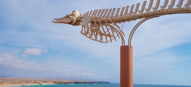 Hotel Coral Cotillo Beach Fuerteventura - Iles Canaries : Photo 