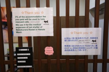 Yagura Hostel Fukuoka - Fukuoka Prefecture: Photo 