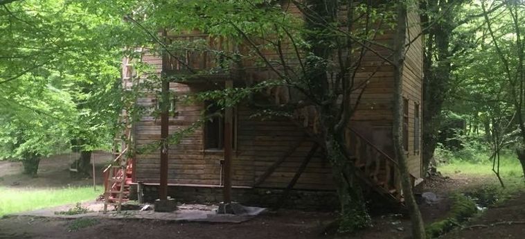 Hotel Alban Resort Gabala: Foto 