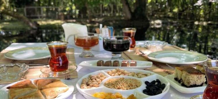 Chukhur Gabala Museum Hotel Gabala : Photo 