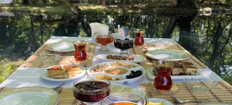 Chukhur Gabala Museum Hotel Gabala : Photo 