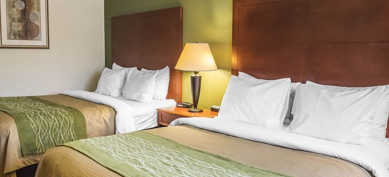 Hotel Comfort Inn & Suites Thousand Island:  GANANOQUE - ONTARIO
