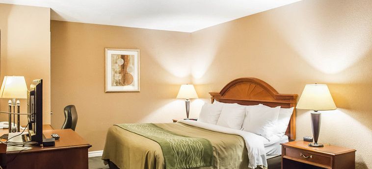 Hotel Comfort Inn & Suites Thousand Island:  GANANOQUE - ONTARIO