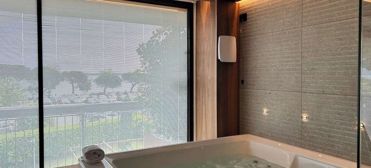Alevic Hotel Sirmione:  GARDASEE
