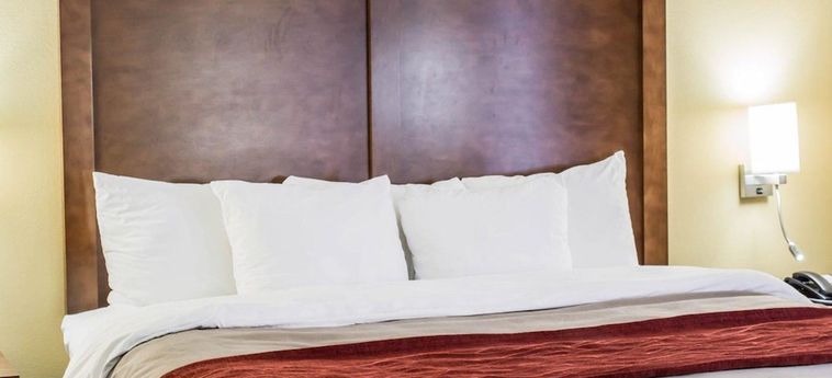 Hotel Comfort Inn Garner (Nc) : Photo 