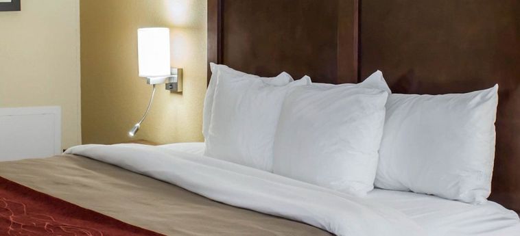 Hotel Comfort Inn Garner (Nc) : Photo 