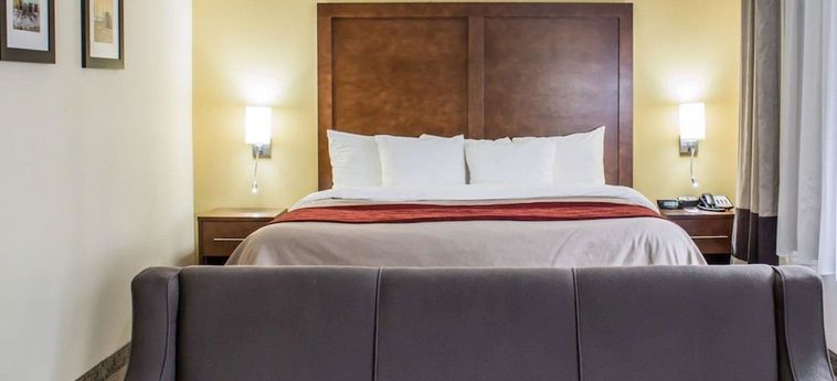 Hotel Comfort Inn Garner (Nc) : Photo 