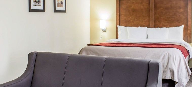 Hotel Comfort Inn Garner (Nc): Photo 