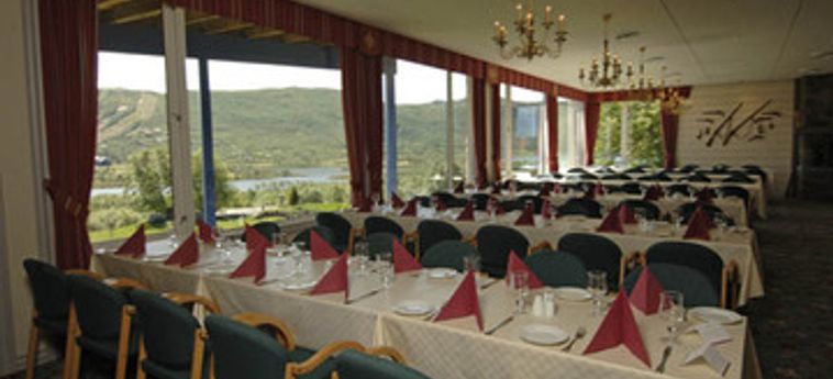 Hotel Ustedalen:  GEILO
