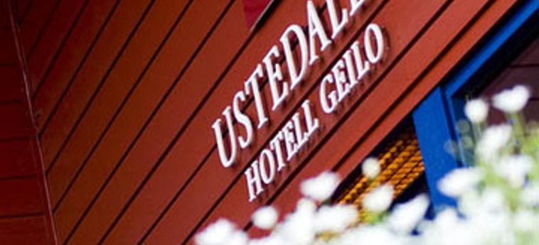 Hotel Ustedalen:  GEILO
