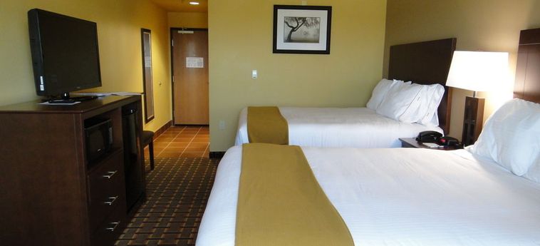HOLIDAY INN EXPRESS & SUITES GEORGE WEST 2 Stelle