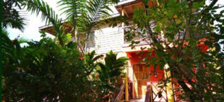 Hotel Bay View Villas:  GIAMAICA