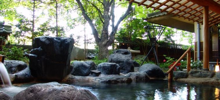 Hotel Hidatei Hanaougi Gifu - Gifu Prefecture: Foto 