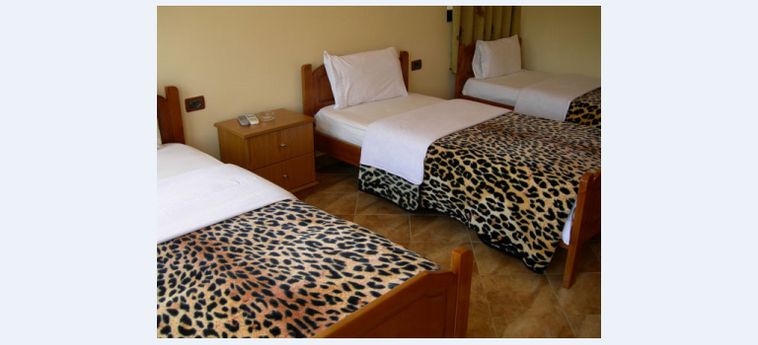 Hotel The First Gjirokaster: Photo 
