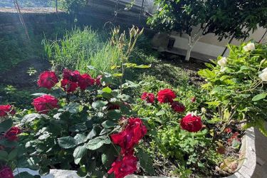 Denis Guest House Gjirokaster: Photo 