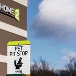 HOME2 SUITES BY HILTON GLEN MILLS CHADDS FORD PA 1 Star